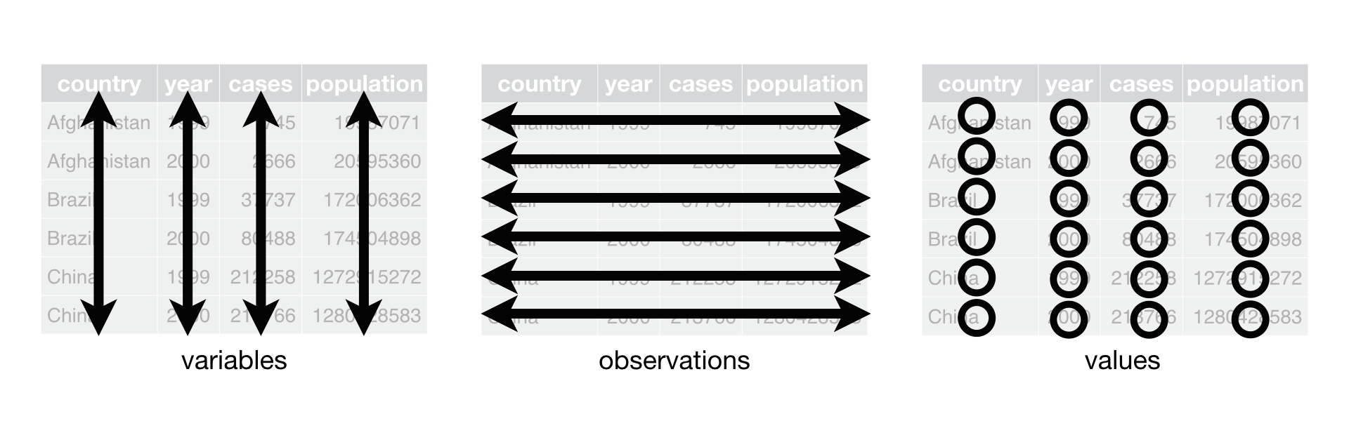 Tidy data graphic from R for Data Science.